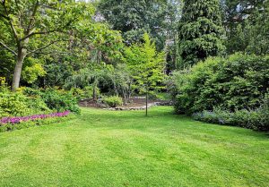 Optimiser l'expérience du jardin à Saint-Goin