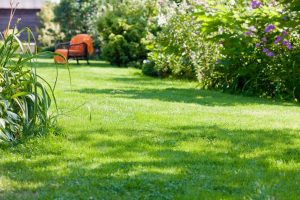 travaux jardin et paysage Saint-Goin